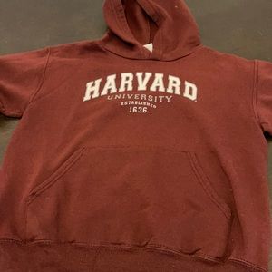 Harvard champion sweatshirt